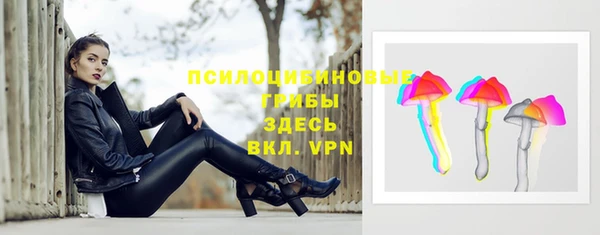 гашик Богородицк