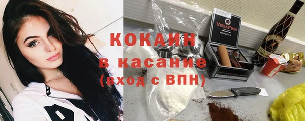 гашик Богородицк