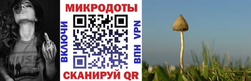 Псилоцибиновые грибы мухоморы  где продают наркотики  Бузулук 